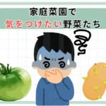 危険な野菜たち