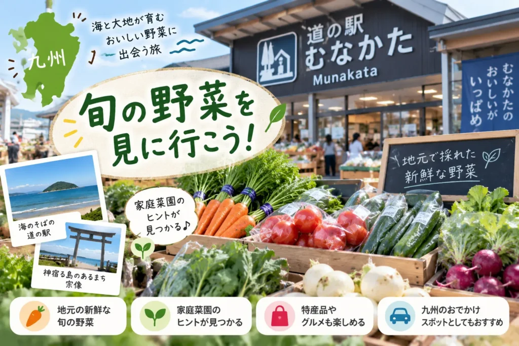 九州・道の駅むなかた(福岡県)へ野菜旅|家庭菜園初心者が選ぶ旬の野菜