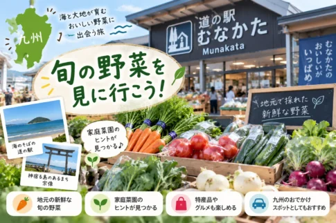 道の駅むなかた