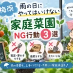 家庭菜園雨の日NG3選