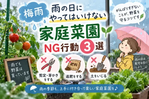 家庭菜園雨の日NG3選
