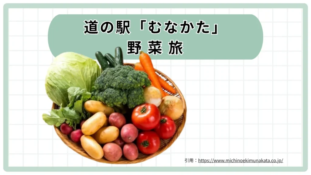 九州「道の駅むなかた」(福岡県)野菜旅〜家庭菜園初心者目線で選ぶ旬の野菜たち