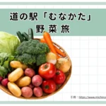 道の駅むなかた