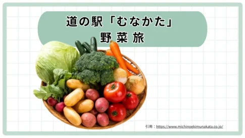 道の駅むなかた