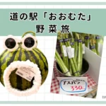 道の駅おおむた