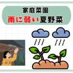 雨の日の家庭菜園