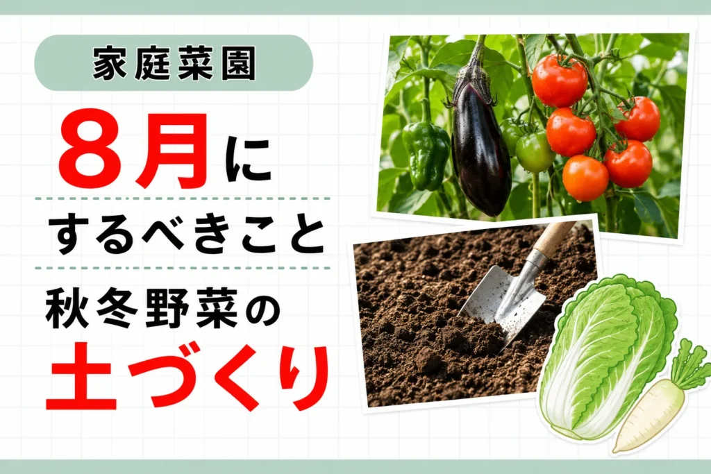 【家庭菜園】8月にするべきこと〜「夏野菜」に夢中な今、秋・冬野菜の土作りを!!