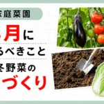秋冬の土づくり