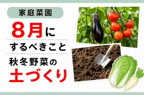 秋冬の土づくり