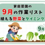 9月に植える家庭菜園