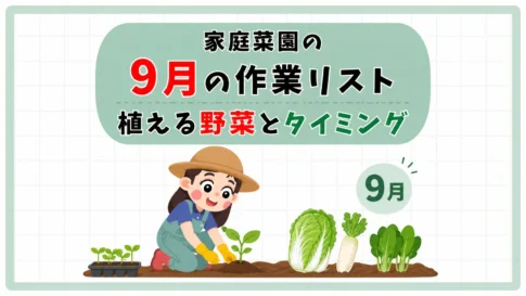 ９月に植える家庭菜園