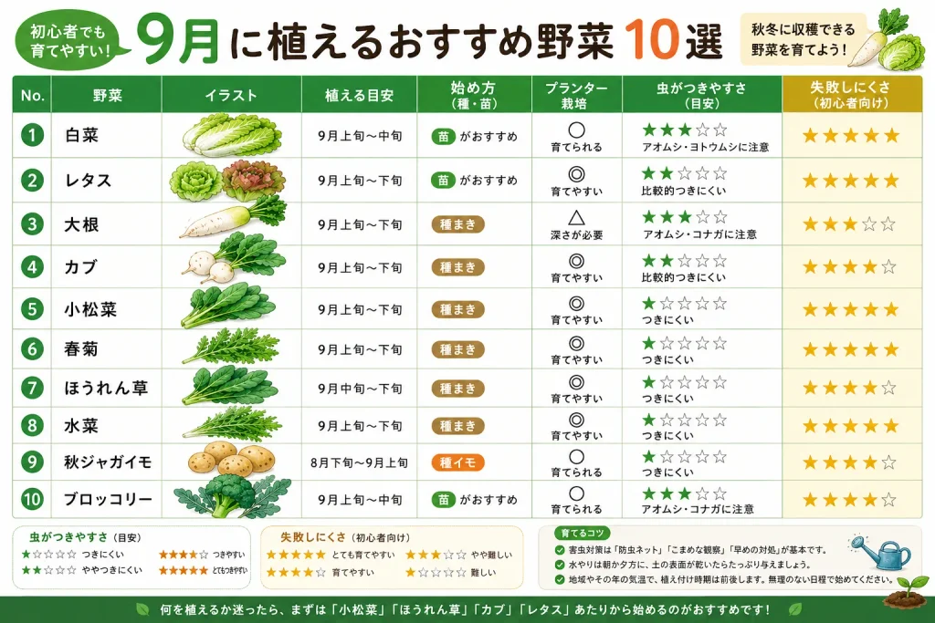 9月に植える野菜