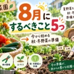 8月家庭菜園