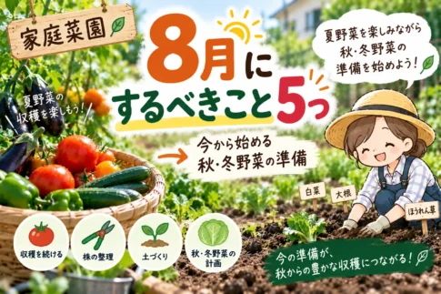 8月家庭菜園