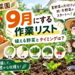 9月作業リスト家庭菜園