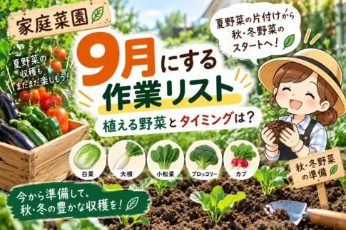 9月作業リスト家庭菜園