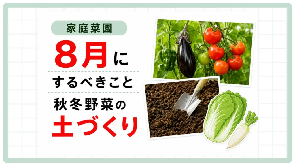 【家庭菜園】8月にするべきこと〜「夏野菜」に夢中な今、秋・冬野菜の土作りを!!