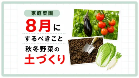 家庭菜園8月