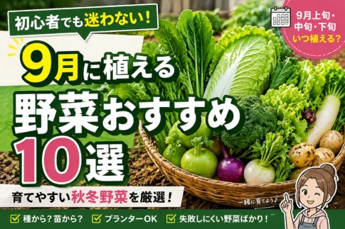 9月に植える野菜