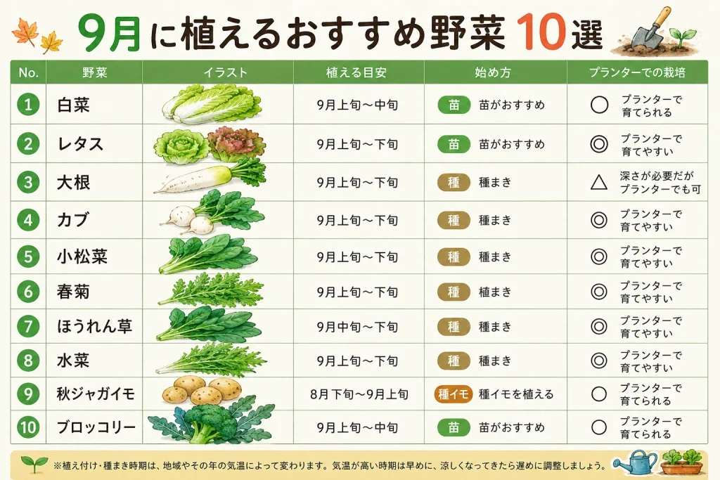 秋に植える野菜