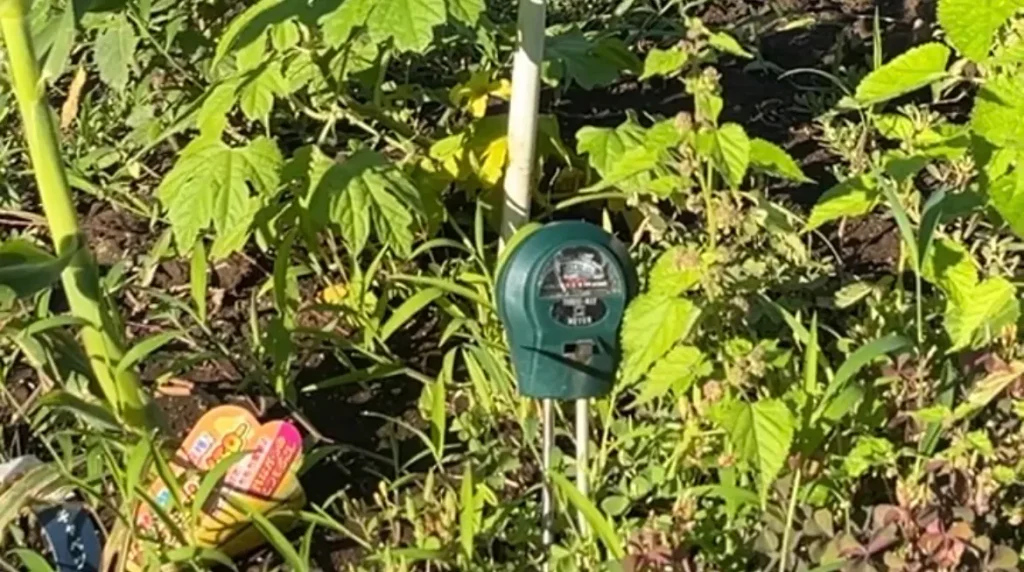 家庭菜園 土づくり