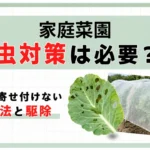 家庭菜園虫対策