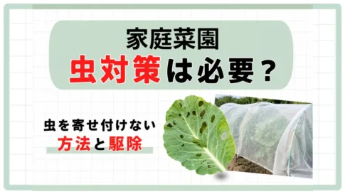 家庭菜園虫対策