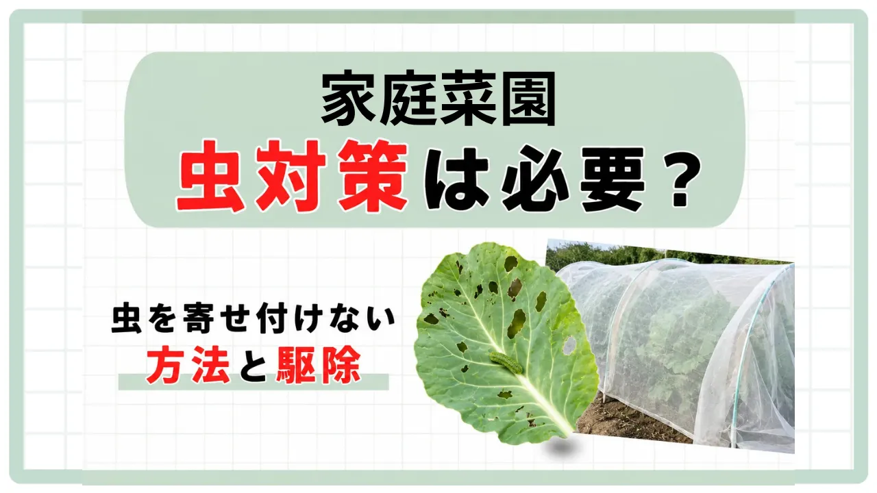 家庭菜園虫対策