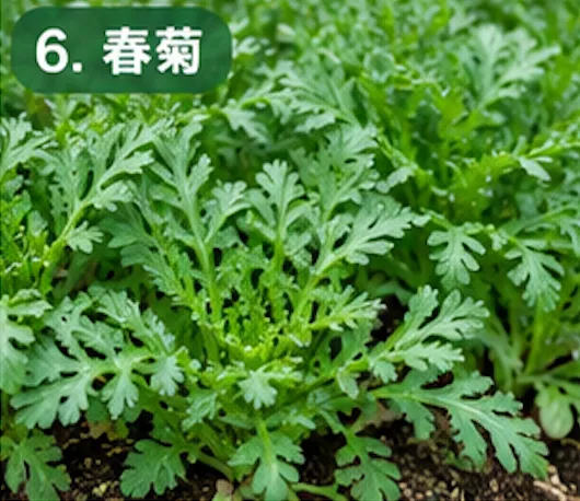 秋に植える野菜