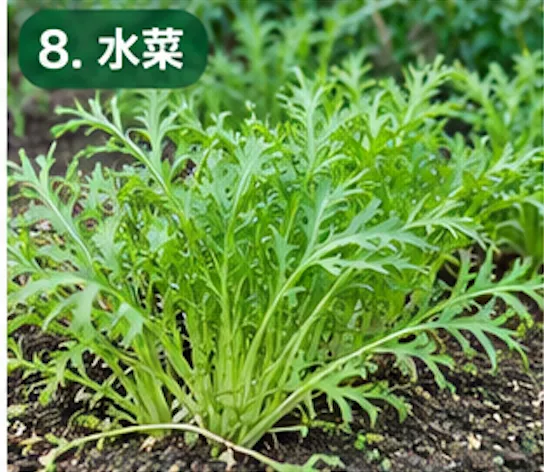 秋に植える野菜