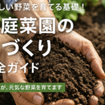 家庭菜園土づくり