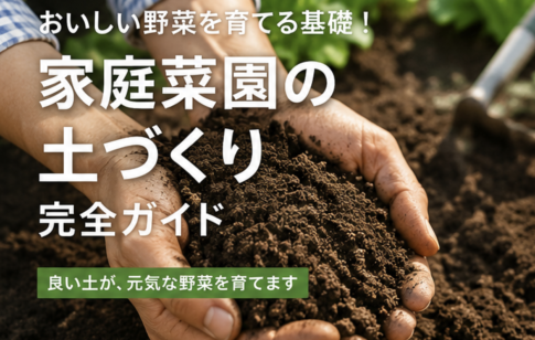 家庭菜園土づくり