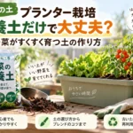 プランター栽培