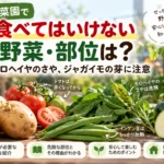 危険モロヘイヤ