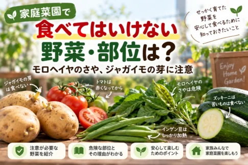 危険モロヘイヤ