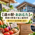 道の駅おおむた