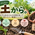 家庭菜園土作り