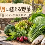 10月に植える野菜