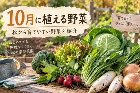 10月に植える野菜
