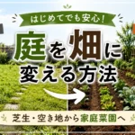 【始める家庭菜園】庭を畑に変える方法|芝生・空き地からの手順とコツ
