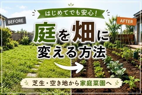 【始める家庭菜園】庭を畑に変える方法｜芝生・空き地からの手順とコツ