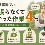 頑張らなくて良かった家庭菜園