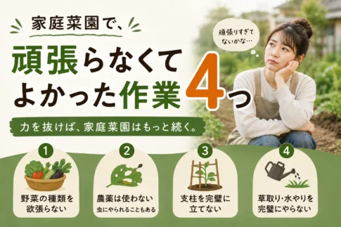 頑張らなくて良かった家庭菜園