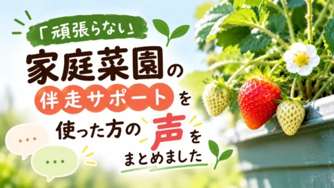 受講生の声