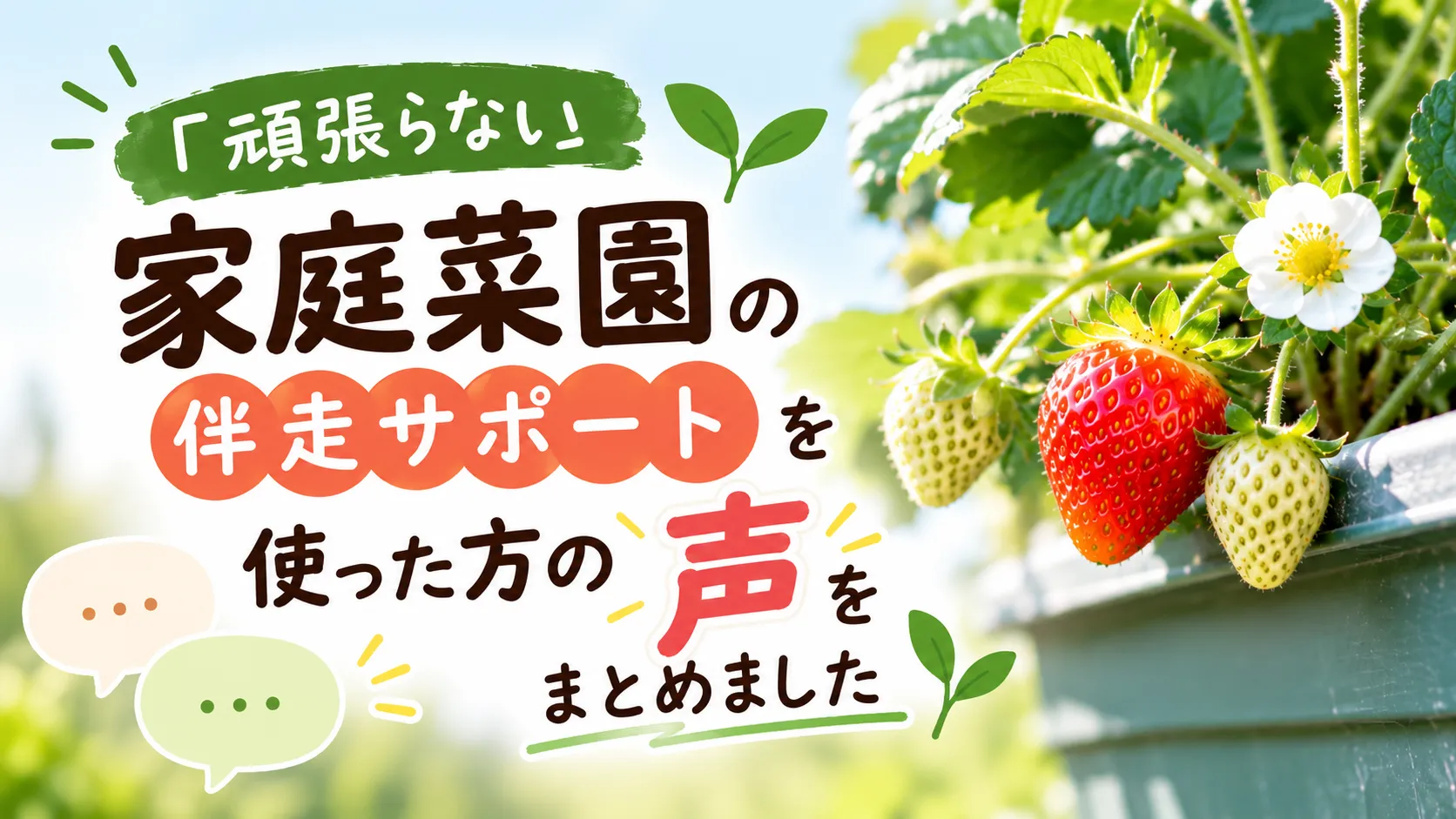受講生の声