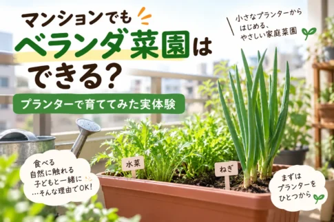 ベランダ菜園