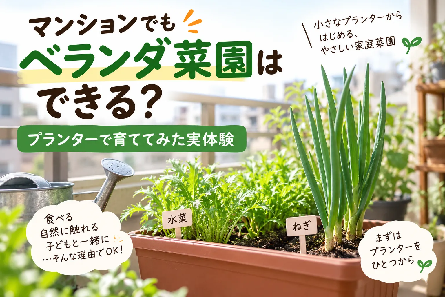ベランダ菜園