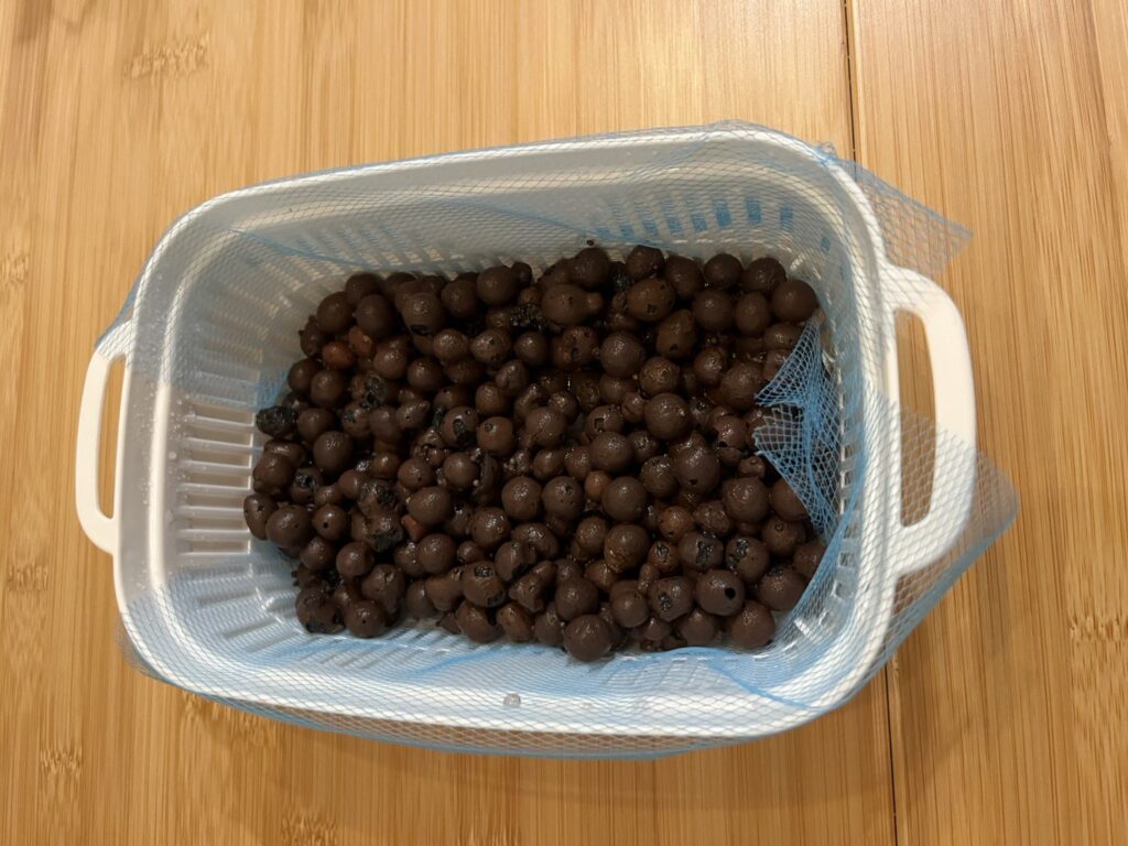 水耕栽培の準備で洗ったハイドロボール