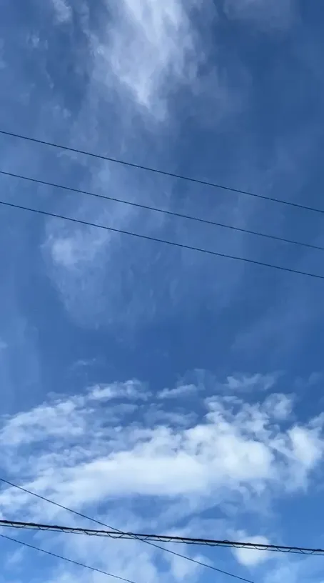家庭菜園空